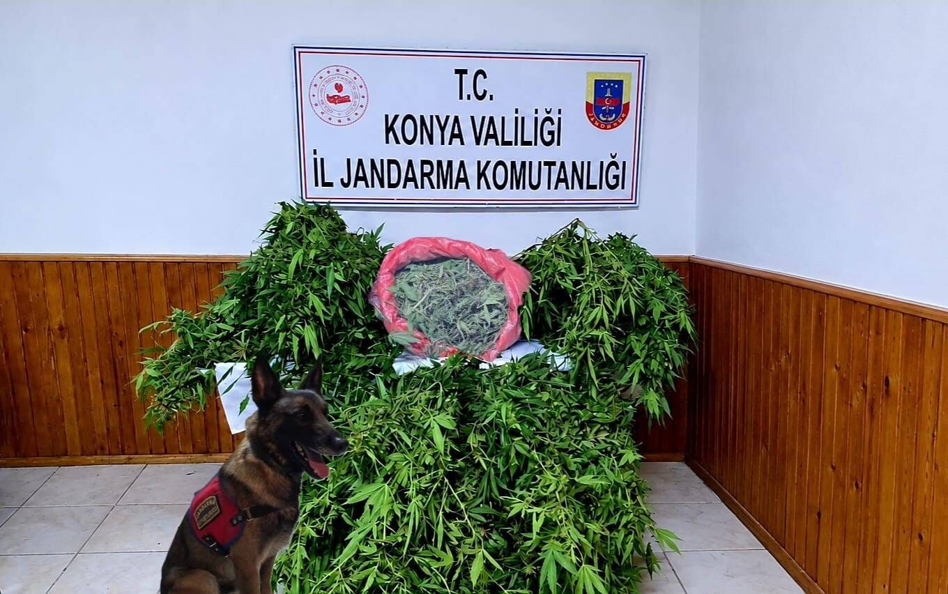 Konyada Depo Gorunumlu Alanda Kenevir Operasyonu (2)