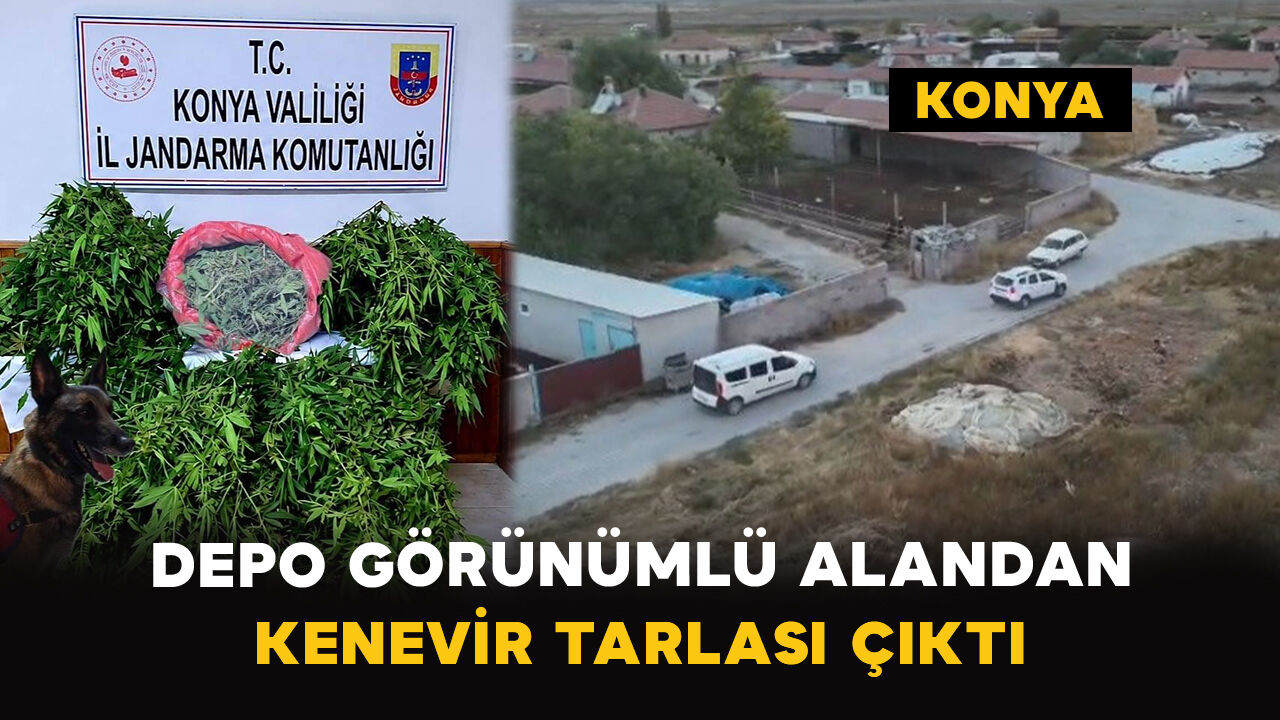 Konya’da depo görünümlü alanda kenevir operasyonu