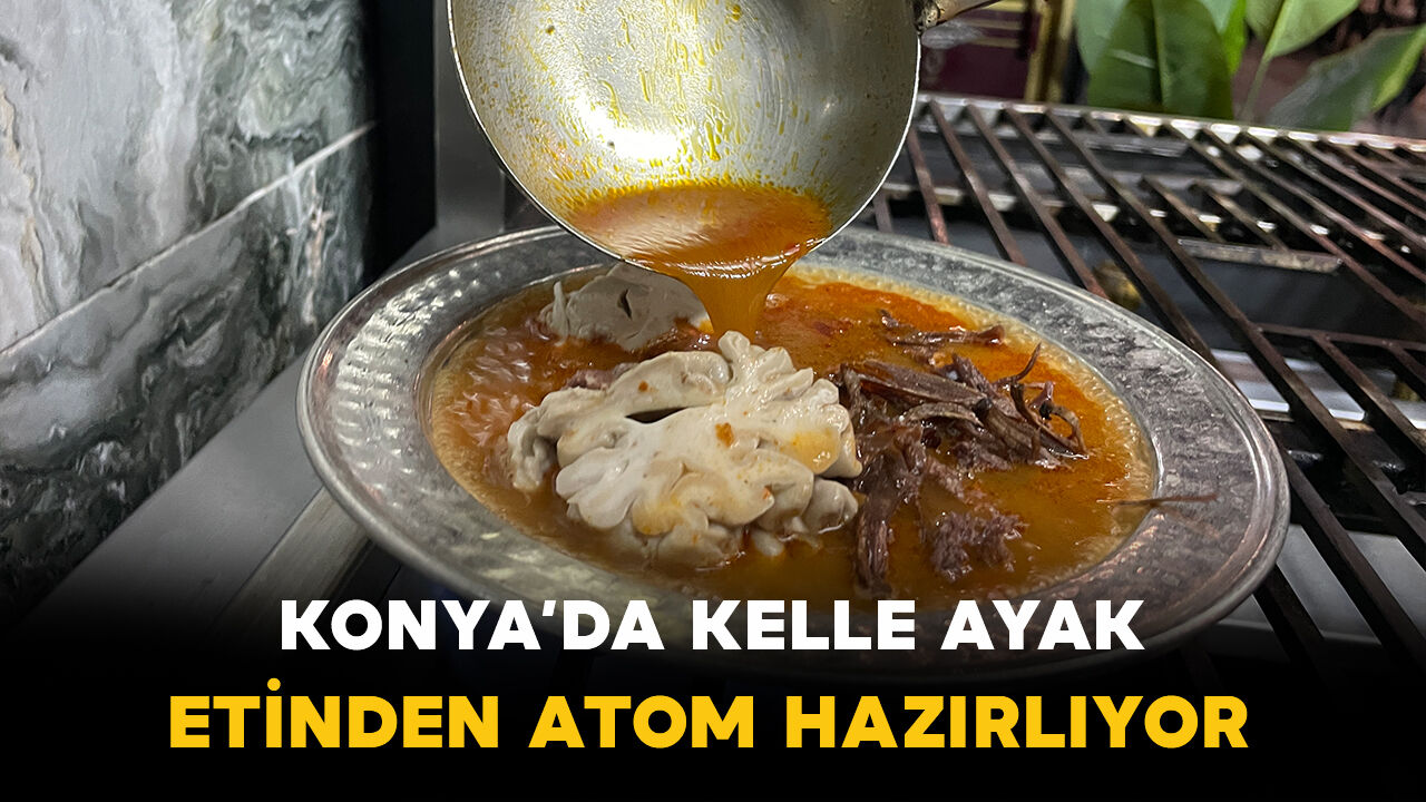 Yaşam