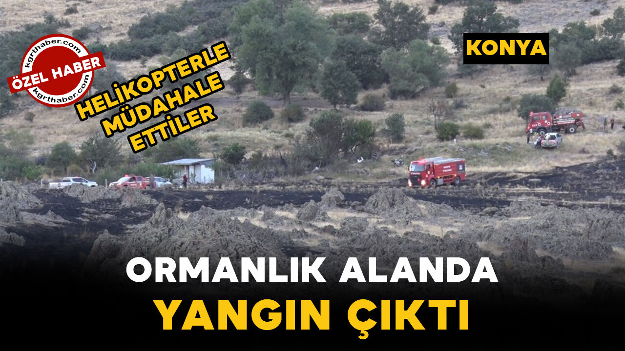 Konya’da ormanda yangın