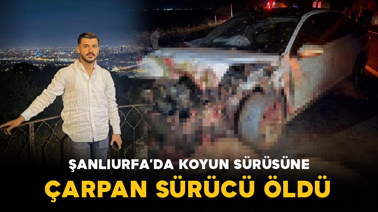 Şanlıurfa’da koyun sürüsüne çarpan otomobilin sürücüsü öldü