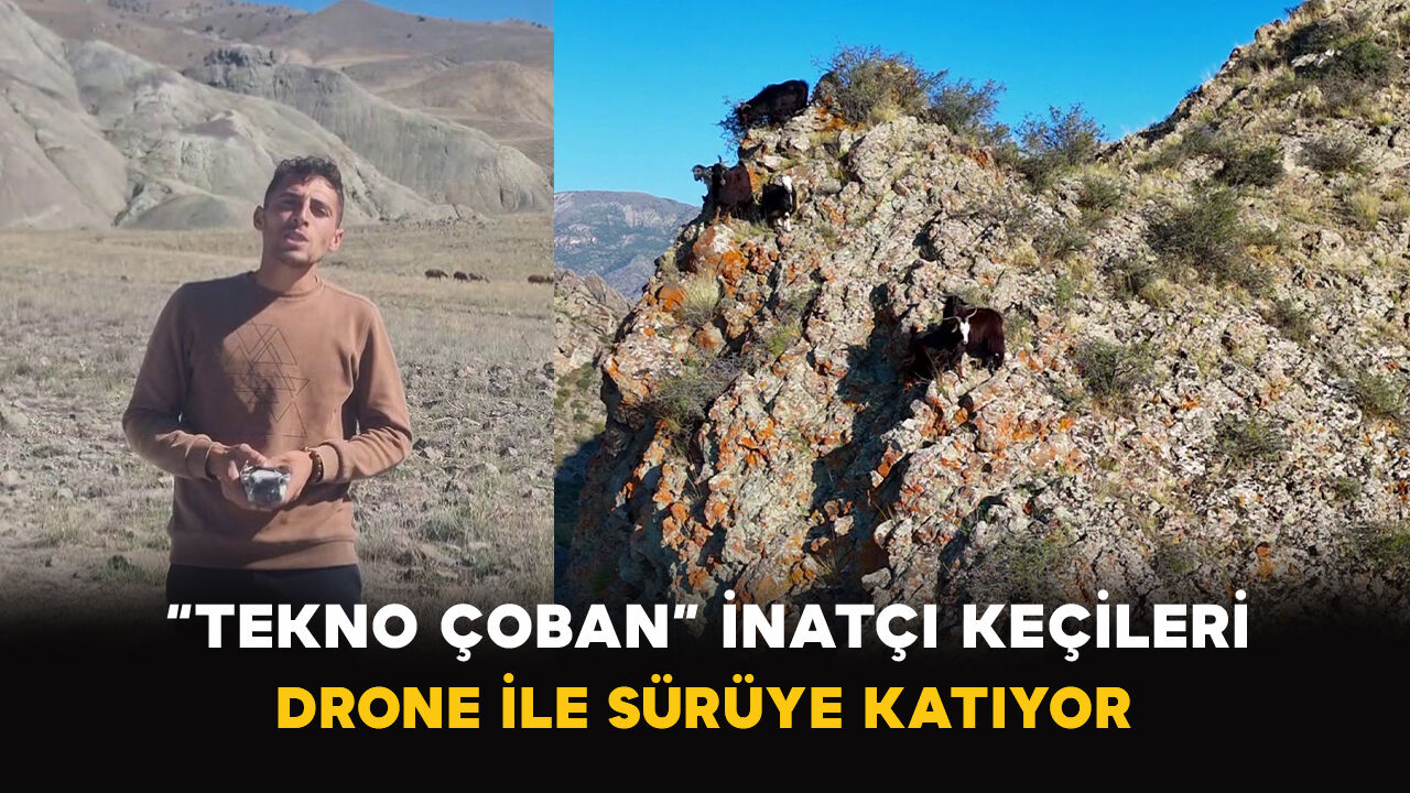 “Tekno Çoban” İnatçı Keçileri Drone ile Sürüye Katıyor