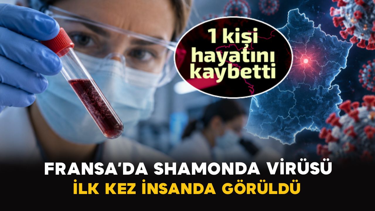 Dünya