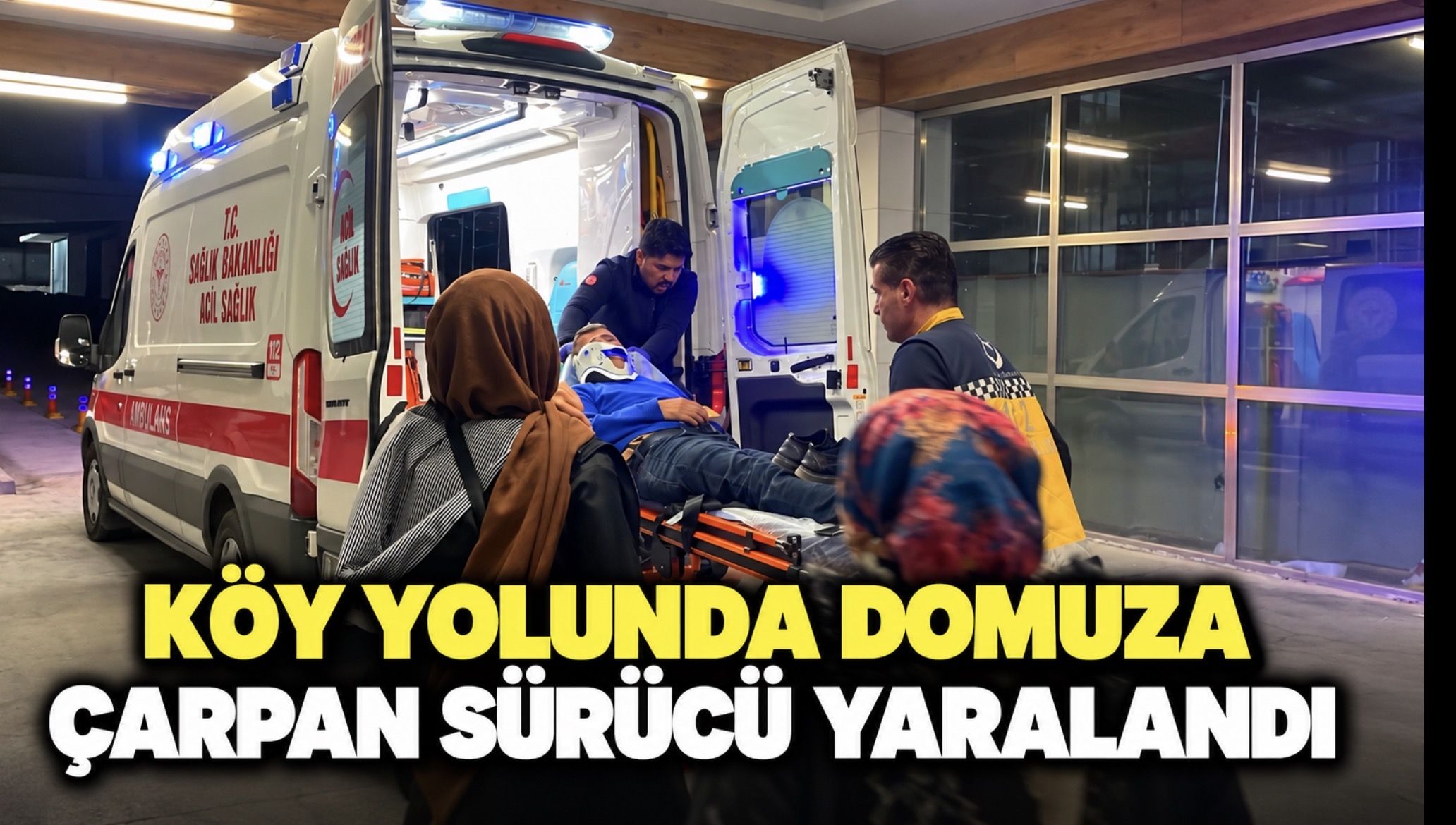 Karaman’da rahatsızlanan babasını ambulansa teslim eden sürücü domuza çarptı: 1 yaralı