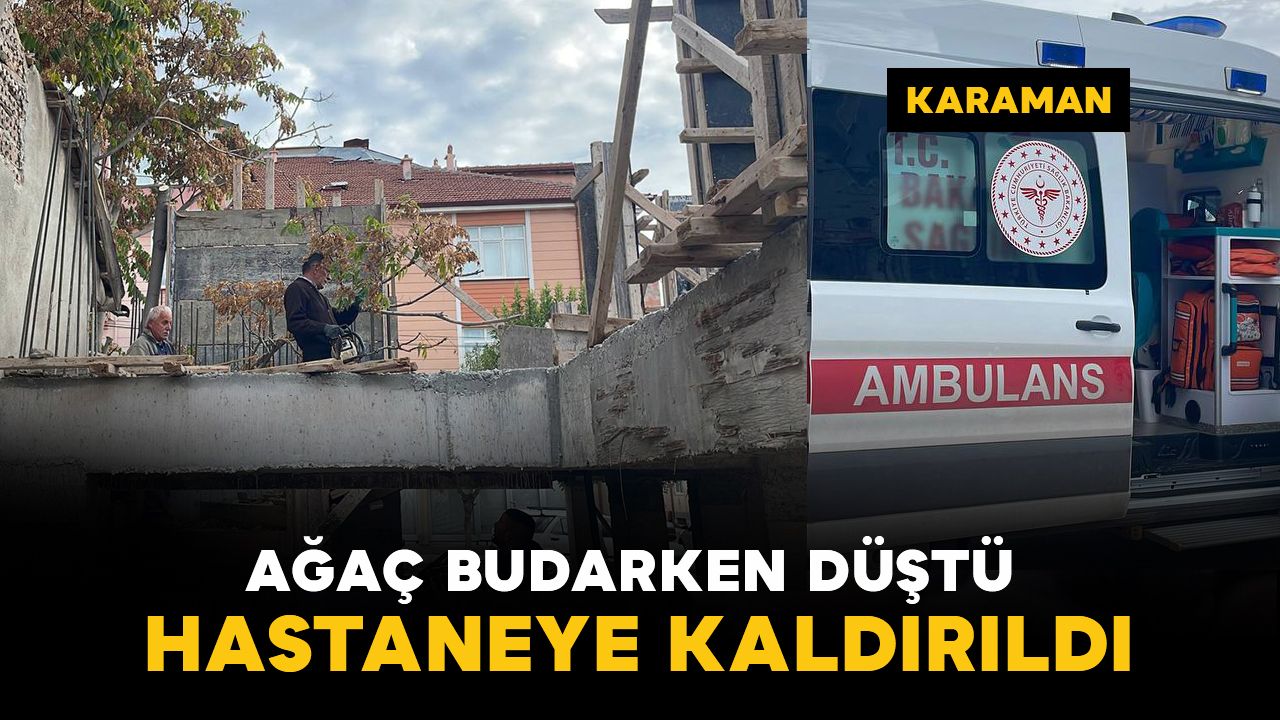 Karaman'da ağaç budarken düşen şahıs yaralandı