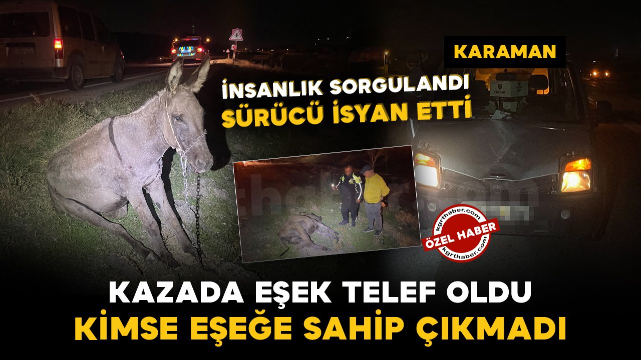 Karaman'da hafif ticari aracın çarptığı eşek telef oldu: "Eşeğe kimse sahip çıkmadı"