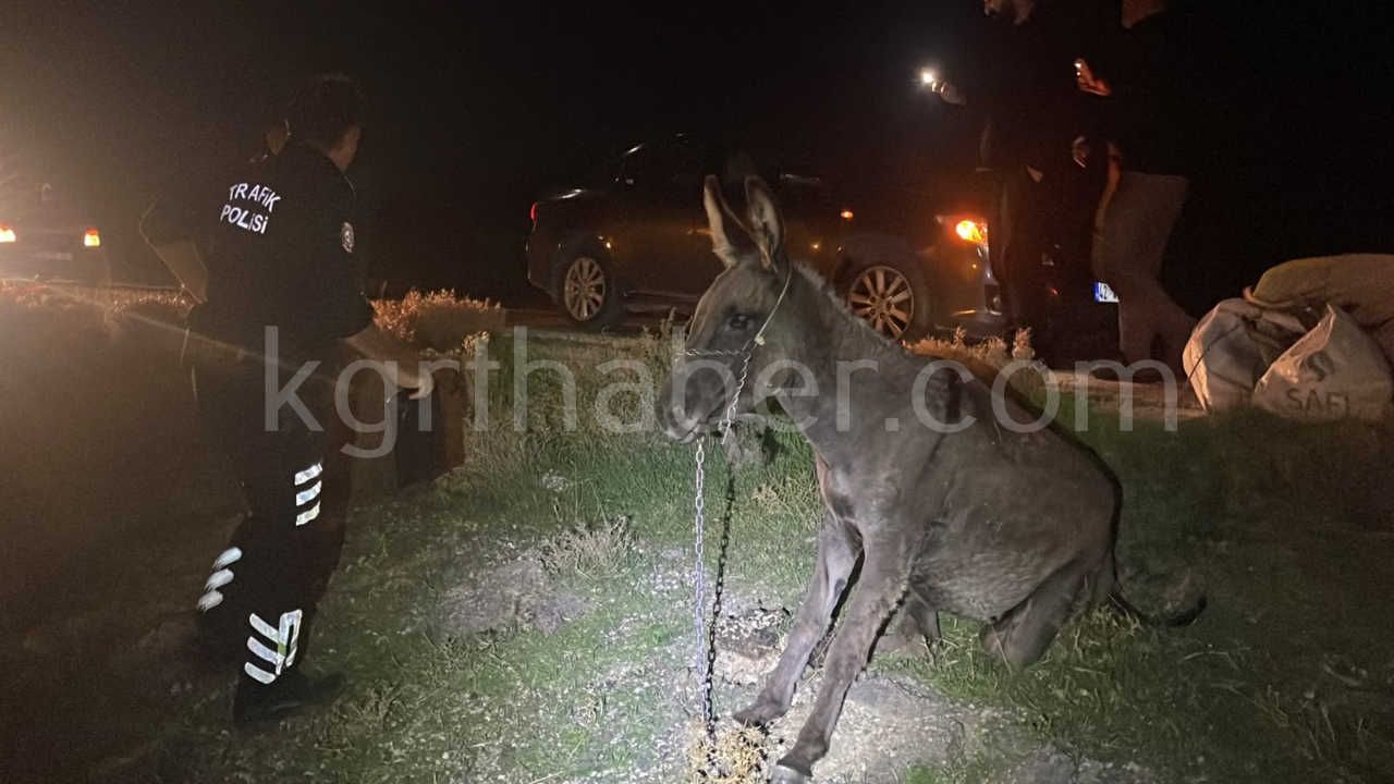 Karamanda Hafif Ticari Aracin Carptigi Esek Telef Oldu Esege Kimse Sahip Cikmadi11