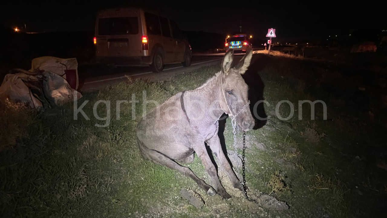 Karamanda Hafif Ticari Aracin Carptigi Esek Telef Oldu Esege Kimse Sahip Cikmadi6