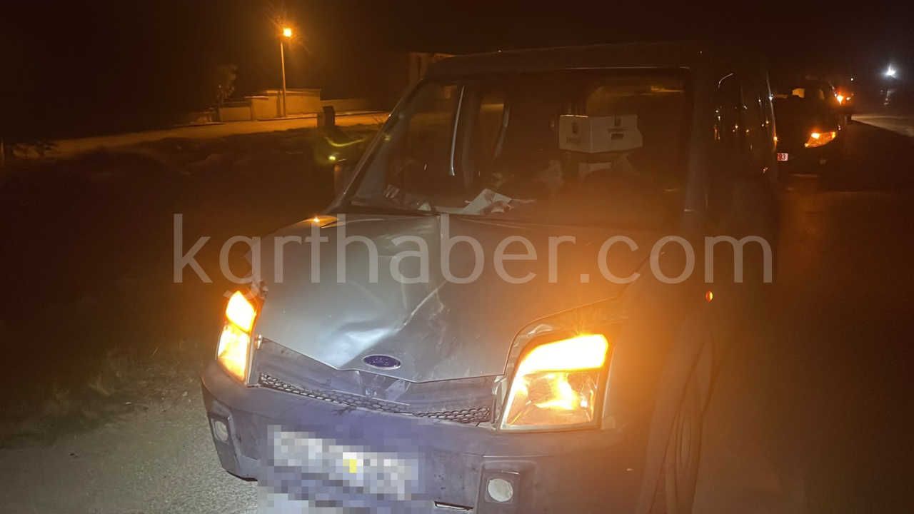 Karamanda Hafif Ticari Aracin Carptigi Esek Telef Oldu Esege Kimse Sahip Cikmadi7