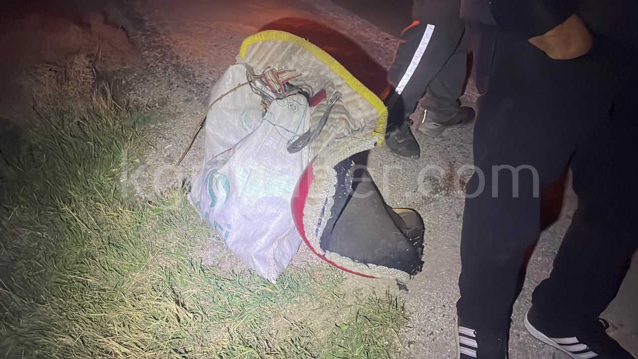 Karamanda Hafif Ticari Aracin Carptigi Esek Telef Oldu Esege Kimse Sahip Cikmadi9