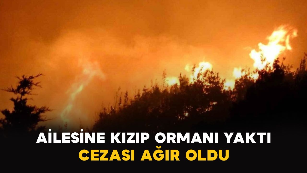 Asayiş